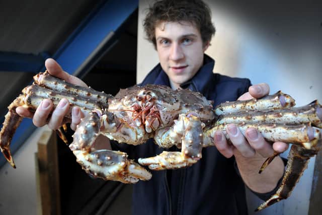 A 4kg captive king crab pictured at Scarborough Sea Life Centre in 2011