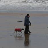 Dozens of owners said their dogs were suffering with vomiting and diarrhoea last month after visiting the Yorkshire coast