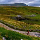 A runner takes an early morning climb up a track from the rural village of Horton-In-Ribblesdale in the heart of the Yorkshire Dales with a backdrop of Pen-y-ghent. Picture: James Hardisty.