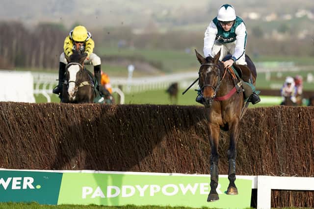 Charlie Deutsch riding L'Homme Presse clear the last to win The Paddy Power Novices' Chase at Cheltenham Racecourse on January 01, 2022.