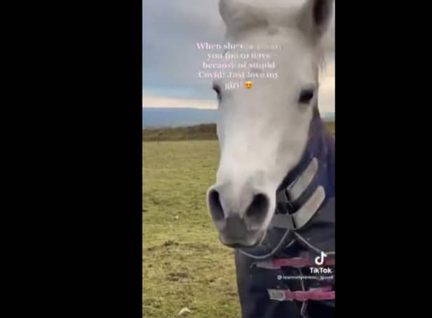Leanne said she'd never seen her horse gallop so fast before [Image credit: @leannetyreman_guest via TikTok]