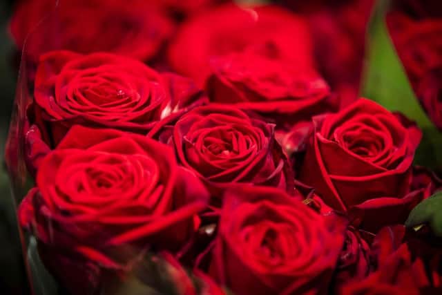 These are the three best types of red roses to give to your special someone this Valentine's Day. (Pic credit: Remko de Waal / ANP / AFP / Getty Images)