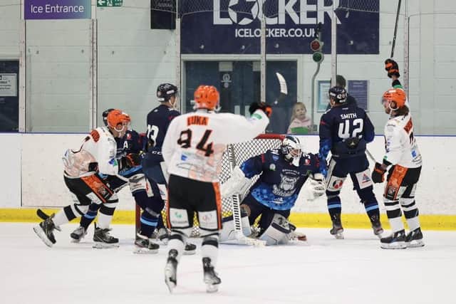 Scott McKenzie celebrates scoring Telford Tigers' second goal in their 3-0 win at Sheffield Steeldogs on Sunday. Picture courtesy of Peter Best/Steeldogs Media.