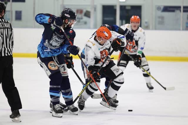 DRAWING A BLANK: Sheffield Steeldogs' Matt Bissonnette battles for possession during Sunday night's 3-0 home loss against leaders Telford Tigers. Picture courtesy of Peter Best/Steeldogs Media.
