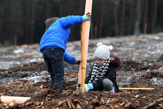 Children from Thornton Dale Primary School plant trees at Dalby Forest as part of the Forest Eye project to create a natural work of art to highlight the challenges of tackling climate change. (Photo: Simon Hulme)