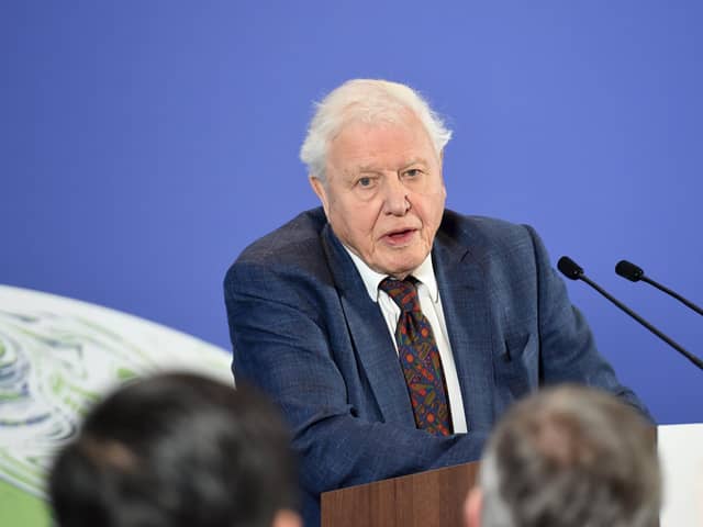 Sir David Attenborough. Photo by Jeremy Selwyn - WPA Pool/Getty Images.