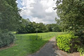 The 'dog run' area on Birkdale Grove in York