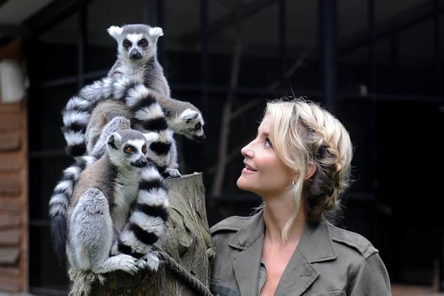 GETTING TO KNOW YOU: Helen Skelton meets the Lemurs during filiming at The Yorkshire Wildlife Park in 2019. Picture by Simon Hulme