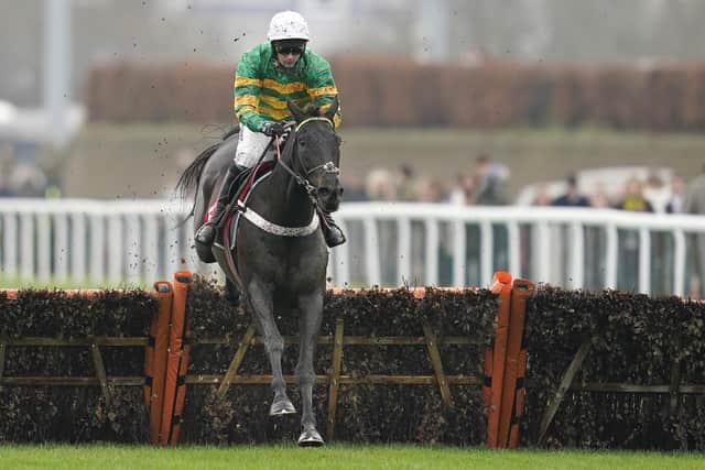 Top prospect: Nicky Henderson's Broomfield Burg. Photo: Alan Crowhurst/Getty Images