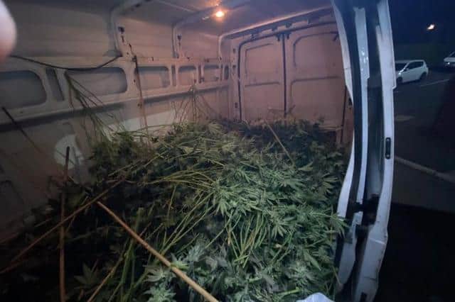 Cannabis worth £200,000 and believed to have been stolen was recovered from a Ford Transit van stopped by police in Wadsley Bridge, Sheffield