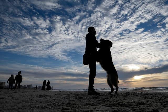Man hugs his dog on the beach. (Pic credit: Mohammed Abed / AFP via Getty Images)