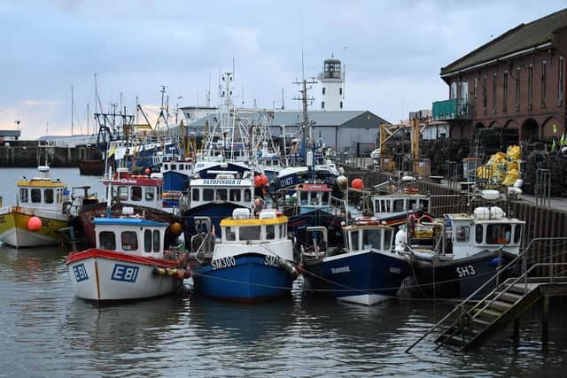 Fishing boats moored in the harbour at Scarborough  Picture:  OLI SCARFF/AFP via Getty Images