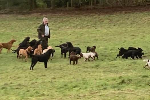Many of the dogs pictured died in the incident (image courtesy of Cuckavelda Gundogs)