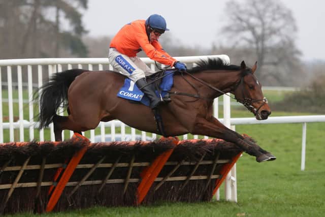 David Pipe is hopeful that Adagio and Tom Scudamore can put down a Champion Hurdle marker in the Kingwell Hurdle at Wincanton.