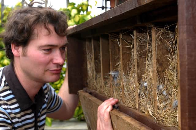 Different bird species need different types of nest boxes