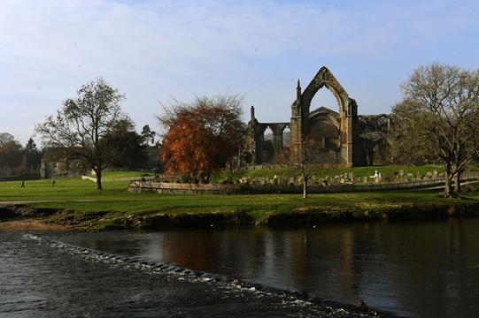 Despite having a rule that all dogs must be on the lead, dog owners have loved the Abbey for walking their dogs.

It has a rating of four and a half stars on TripAdvisor with 1,876 reviews.