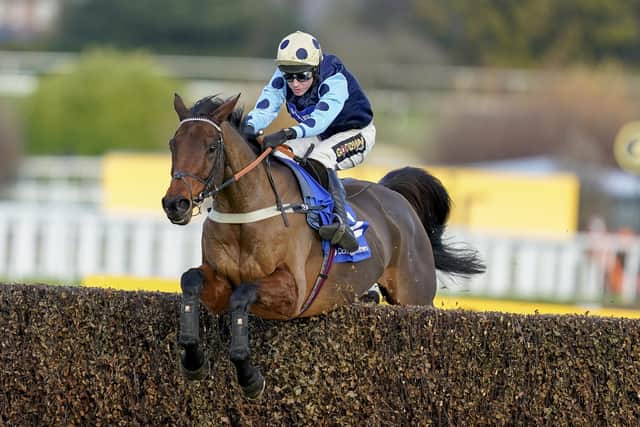 Edardstone and Tom Cannon are favourites  for next month's Arkle Trophy at the Cheltenham Festival.
