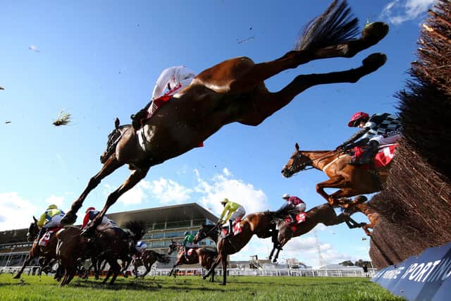 Aye Right (near side) in previous action at Cheltenham.