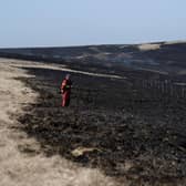 A firefighter monitors any resurgence of a moor fire on Marsden Moor, near Huddersfield in northern England on April 26, 2021 Picture: OLI SCARFF/AFP via Getty Images