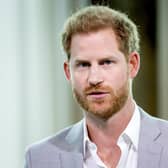 Prince Harry's behaviour continues to be condemned.