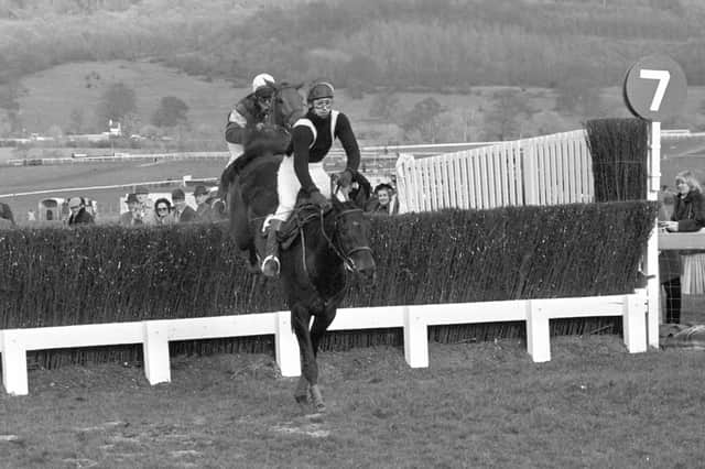 This was Silver Buck and Robert Earnshaw clearing the last fence in the 1982 Cheltenham Gold Cup.