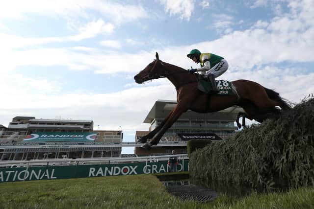 Tom Scudamore and Cloth Cap, trained by Jonjo O'Neill, clear the water jump in last year's Randox Grand National before pulling up.