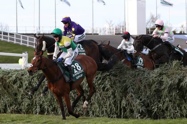 Tom Scudamore and Cloth Cap clear The Chair in last year's Randox Grand National before pulling up.