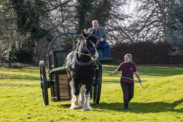 Farm park manager at Sledmere House Laura Clark leads Jim the shire horse pulling the horse-drawn horse ambulance. Picture Tony Johnson