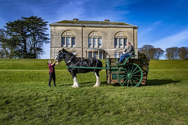 The ambulance, that rescued horses in the First World War, has been restored by wheelwright Rodney Greenwood after being found in a farmyard after 100 years with a tree growing through it. Image: Tony Johnson