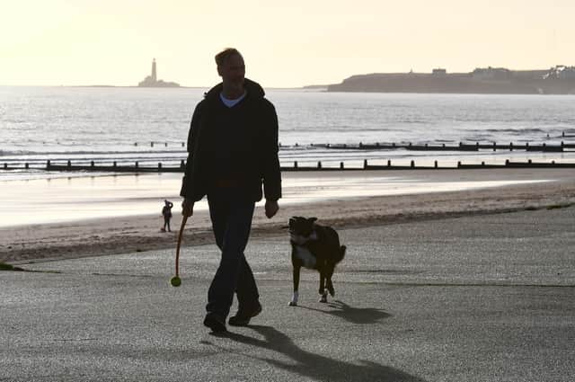 Do dog owners take sufficient responsibility when walking their pets?