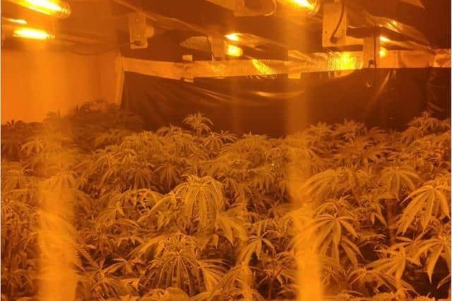 Police discovered the huge drugs factory in Warmsworth.