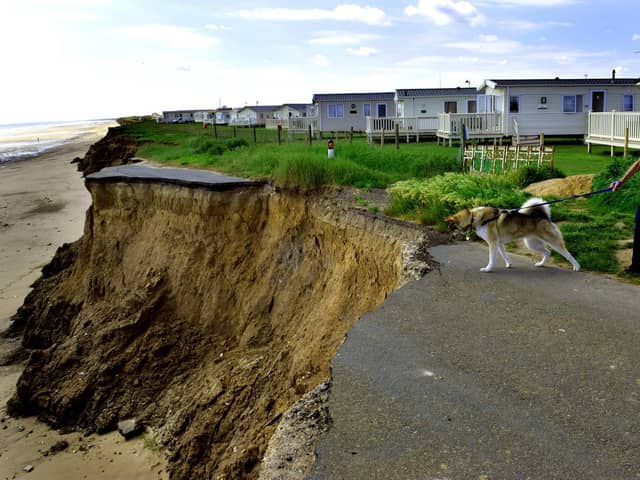 A dog walker comes perilously close to the edge on the former Ulrome to Skipsea road that most sections have fallen into the sea , due to the coastal erosion along the East Coast at Ulrome near Skipsea.