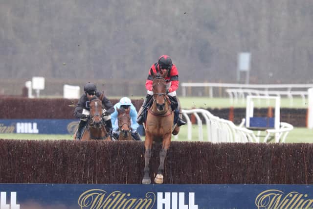Ahoy Senor and Derek Fox clear a fence in Wetherby's Towton Novices' Chase.