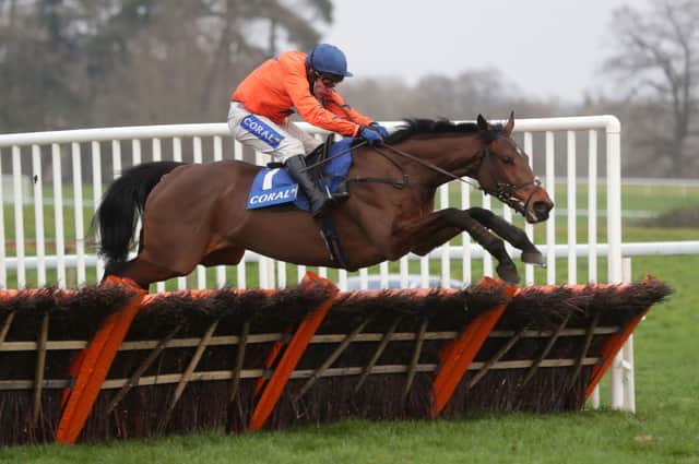 Tom Scudamore hopers the David Pipe-trained Adagio can spring a surprise in next week's Unibet Champion Hurdle.