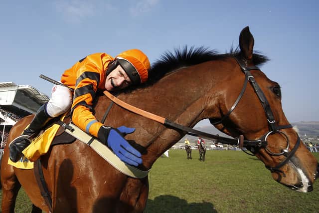 Tom Scudamore after Thistlecrack won the 2016 Stayers' Hurdle at Cheltenham for Colin Tizzard.