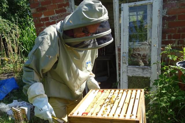 Before the hive was invented bees gathering honey left the bees to starve and broke up hives.