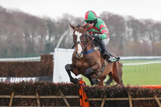 This was Tommy's Oscar winning the Unibet Champion Hurdle Trial at Haydock for farmers Ian and Ann Hamilton. Photo: Haydock Park Racecourse.