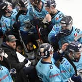 GOING FOR SILVERWARE: Greg Wood and Sheffield Steeldogs.   are in the running for runners-up spot in NIHL National, as well as shooting it out with Telford Tigers in the NIHL National Cup Final. Picture: Bruce Rollinson
