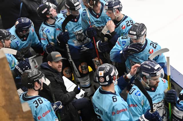 GOING FOR SILVERWARE: Greg Wood and Sheffield Steeldogs.   are in the running for runners-up spot in NIHL National, as well as shooting it out with Telford Tigers in the NIHL National Cup Final. Picture: Bruce Rollinson