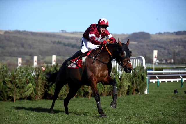 TIGER ROLL: Could claim a sixth career win at the Cheltenham Festival today. Picture: Tim Goode/PA Wire.
