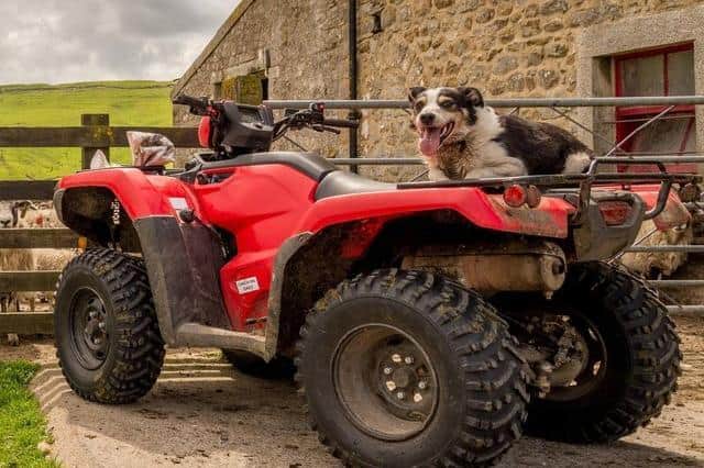 Quad bikes are often used for agricultural purposes