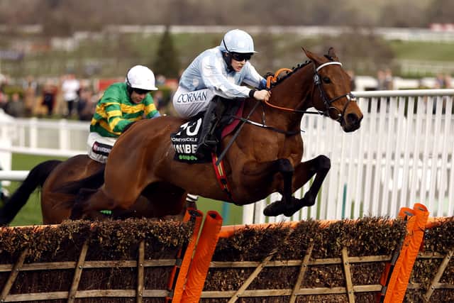 Honeysuckle and Rachael Blackmore clear the final flight in the Unibet Champion Hurdle.