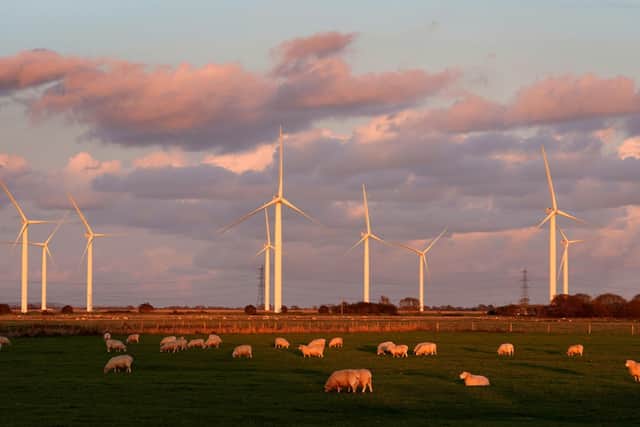 Is it right to sacrifice farmland for wind turbines - or solar farms? Columnist Sarah Todd poses the question.