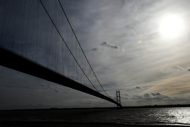 The puppy was found near to the Humber Bridge