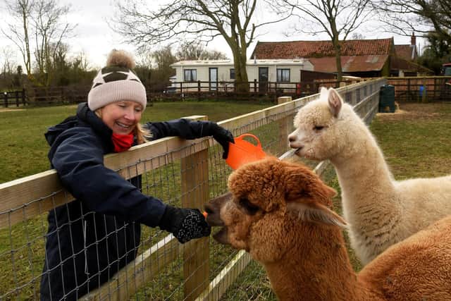 Jayne Haigh with alpacas at the site.