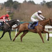 Rematch: Vauban (pink) clears the last to win Spring Juvenile Hurdle from Davy Russell and Fil Dor (red) at Leopardstown in February and the pair go int he Triumph Hurdle today. (Photo by Alan Crowhurst/Getty Images)
