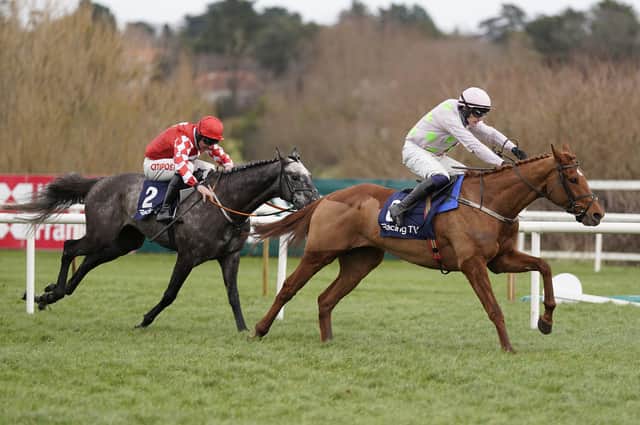 Rematch: Vauban (pink) clears the last to win Spring Juvenile Hurdle from Davy Russell and Fil Dor (red) at Leopardstown in February and the pair go int he Triumph Hurdle today. (Photo by Alan Crowhurst/Getty Images)