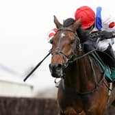 Protektorat ridden by Harry Skelton carries the hopes of Sir Alex Ferguson in today's Boodles Cheltenham Hold Cup.