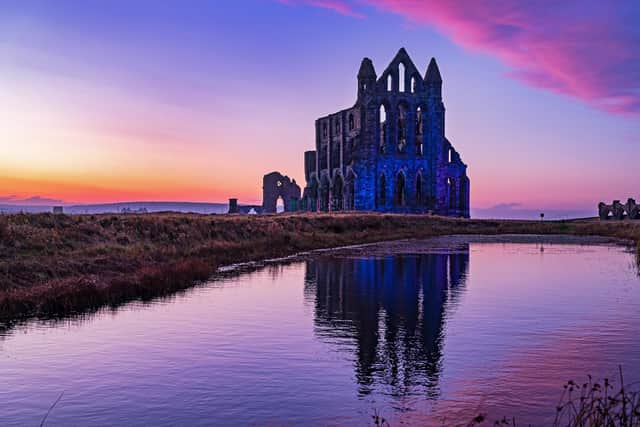 Whitby Abbey. Image by Bruce Rollinson
