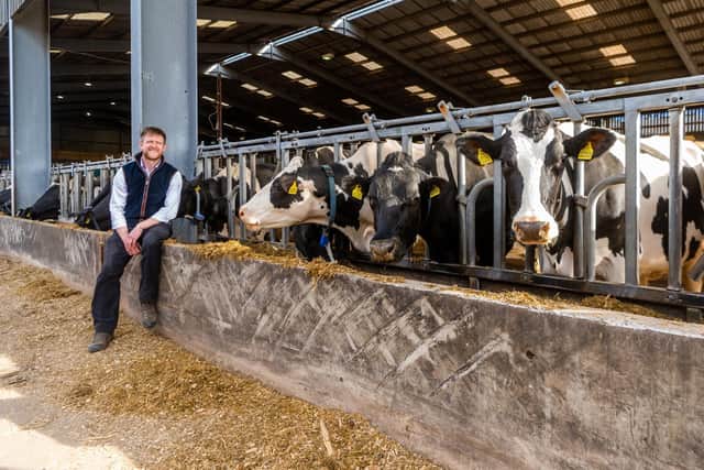 Askham Bryan College Farm has both beed and dairy herds